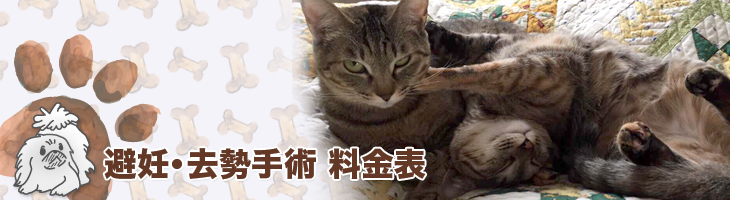 避妊・去勢手術 料金表